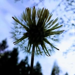 Meet your Posher, Leigh